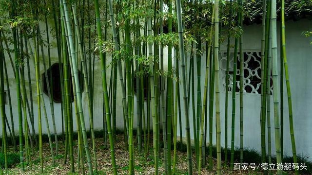 建筑模板材料環(huán)保性能比較 行業(yè)新聞 第4張