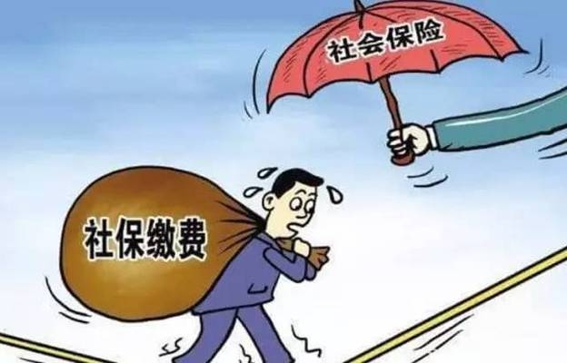 加固公司社保繳納比例 行業(yè)新聞 第5張 加固公司社保繳納比例 行業(yè)新聞 第5張
