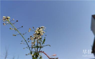 老舊房屋改造補(bǔ)貼申請(qǐng)條件，房屋改造補(bǔ)貼申請(qǐng)指南，條件與流程 行業(yè)新聞 第3張