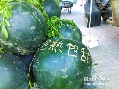 建筑英才網(wǎng)簡歷優(yōu)化技巧，建筑英才網(wǎng)簡歷吸引力 行業(yè)新聞 第2張
