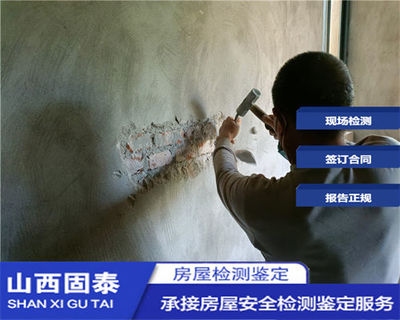 抗震加固技術(shù)的國(guó)際比較 行業(yè)新聞 第5張 抗震加固技術(shù)的國(guó)際比較 行業(yè)新聞 第5張