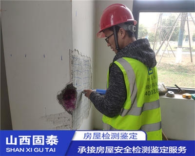 抗震加固技術(shù)的國(guó)際比較 行業(yè)新聞 第6張 抗震加固技術(shù)的國(guó)際比較 行業(yè)新聞 第6張