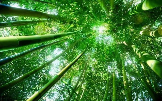 建筑結(jié)構(gòu)抗震設(shè)計中的剛度比應(yīng)用，結(jié)構(gòu)抗震設(shè)計中的剛度比應(yīng)用研究 行業(yè)新聞 第3張