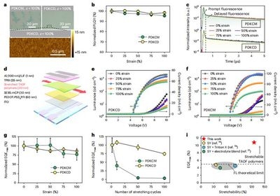 聚合物材料的力學性能研究，物材料力學性能的深入研究 行業(yè)新聞 第4張