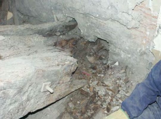 建筑加固后的病蟲(chóng)害防治，加固后病蟲(chóng)害防治策略 行業(yè)新聞 第2張