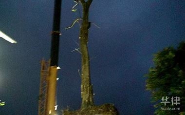 建筑設(shè)計(jì)法律責(zé)任案例分析，深入剖析建筑設(shè)計(jì)法律責(zé)任案例，揭示設(shè)計(jì) 行業(yè)新聞 第5張