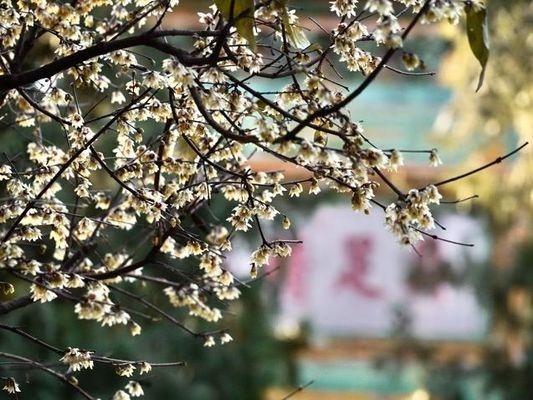 老舊廠房改造的環(huán)保措施，老舊廠房改造中環(huán)保措施的多元探索 行業(yè)新聞 第2張