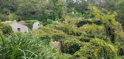 民宿設(shè)計(jì)師崗位職責(zé)內(nèi)容怎么寫，幾種不同風(fēng)格的標(biāo)題供你參考，，專業(yè)實(shí)用型，精準(zhǔn)撰寫民宿設(shè)計(jì)師崗位職責(zé)內(nèi)容指南，疑問(wèn)引導(dǎo)型，如何寫好民宿設(shè)計(jì)師的崗位職責(zé)內(nèi)容？，目標(biāo)導(dǎo)向型，打造清晰 行業(yè)新聞 第4張