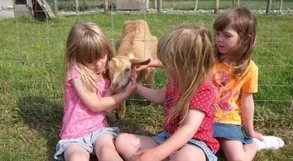 民宿公司簡(jiǎn)介怎么寫，解鎖民宿公司簡(jiǎn)介撰寫秘籍，精準(zhǔn)呈現(xiàn) 行業(yè)新聞 第4張