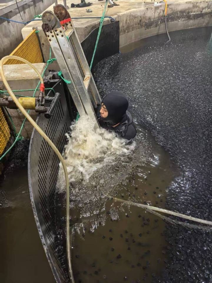 香河加固設(shè)計(jì)公司（廊坊市香河縣水下加固設(shè)計(jì)公司盛達(dá)瑞通建設(shè)有限公司）